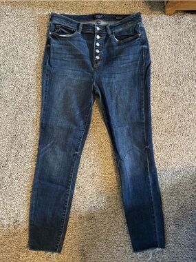 Judy Blue Dark Wash High-Rise Button-Fly Skinny Jeans